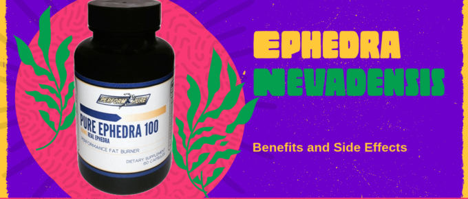 Ephedra Nevadensis Benefits and Side Effects On Sale USA